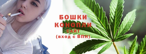 индика Белоозёрский