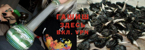 дживик Белокуриха
