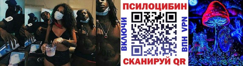 Галлюциногенные грибы GOLDEN TEACHER  закладка  Гаджиево 